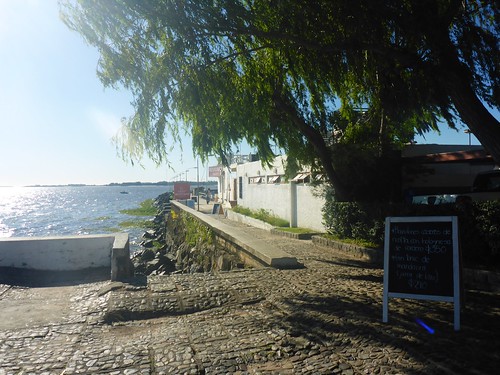 Path to the yacht club